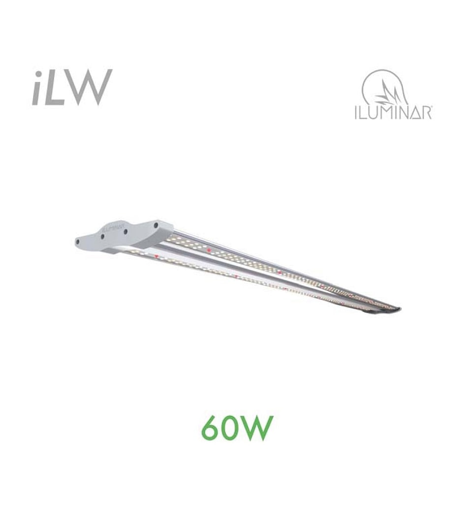 ILUMINAR 60W iLW LED Light 120V-277V